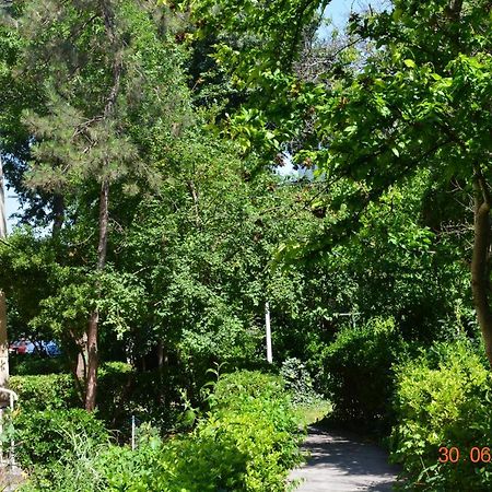 Apartament Antonia Sat Vacanta คอนสตันซา ภายนอก รูปภาพ